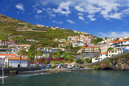 Fototapeta Naklejka Na Ścianę i Meble -  Camara de Lobos resort, Madeira island, Portugal