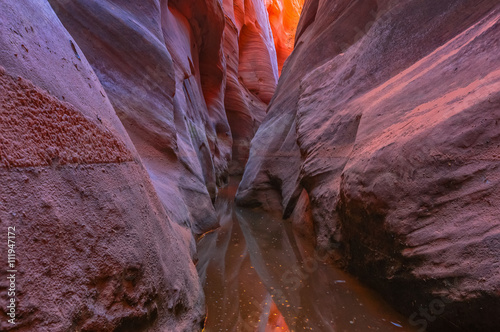 Zebra canyon