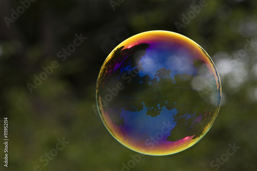 Large soap bubble reflecting outdoor park scene from San Francisco Golden Gate Park