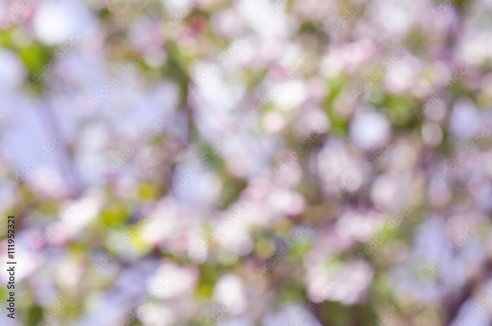 Obraz premium Natural bokeh