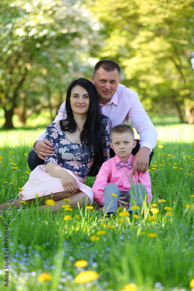 Fototapeta premium meadow