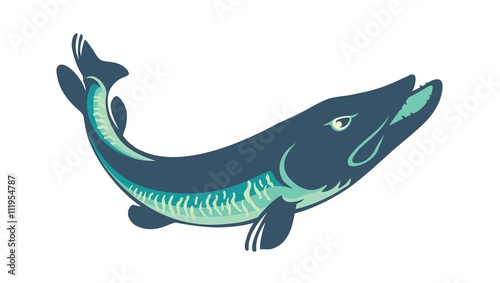 pike fishing