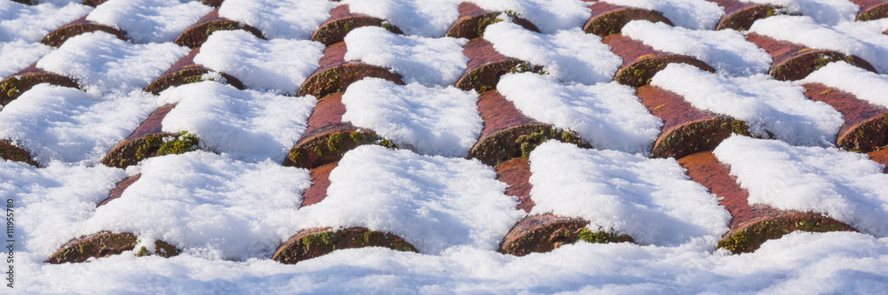 Snow on the roof. Winter scene. Winter background.