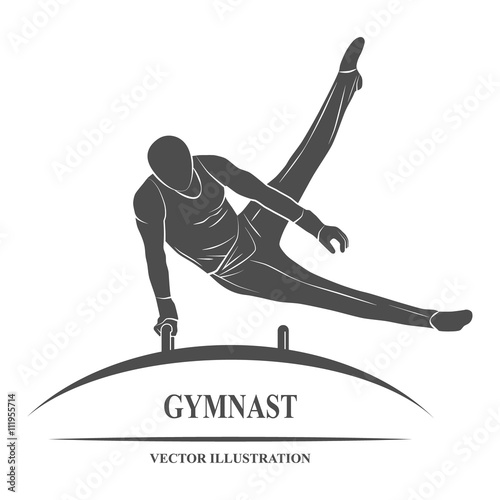 Male gymnast horse