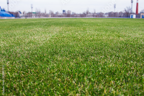 Grass on the football field