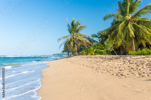 Fototapeta Naklejka Na Ścianę i Meble -  Punta Uva beach in Costa Rica, wild and beautiful caribbean coast