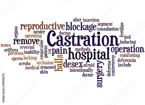 Castration, word cloud concept 7