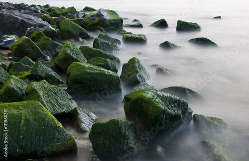 Камни в зеленых водорослях.