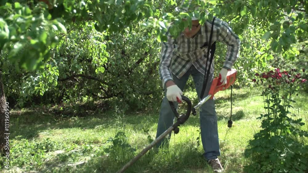 a young male farmer cuts the grass with a manual lawnmower in the garden