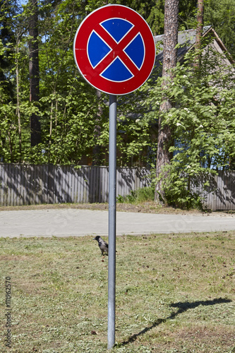 Road sign no parking under blue sky,on green gass. European Union.
