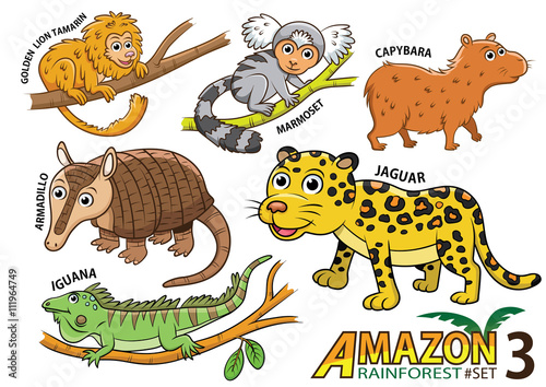 Set of Cute cartoon Animals and birds in the Amazon areas of Sou