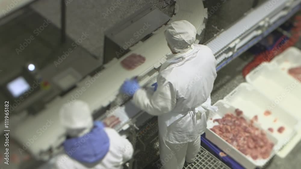 Conveyer belt workers sorting pork escalopes in boxes. Conveyer belt workers sorting pork escalopes in boxes.