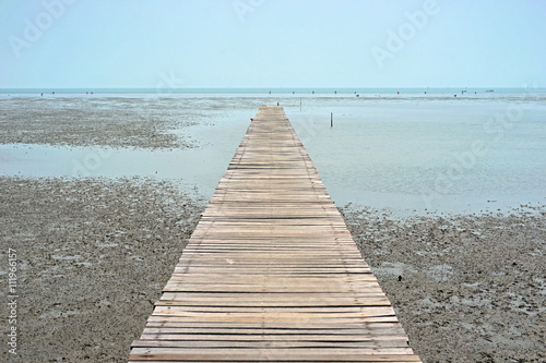 wooden jetty on mangrove forest