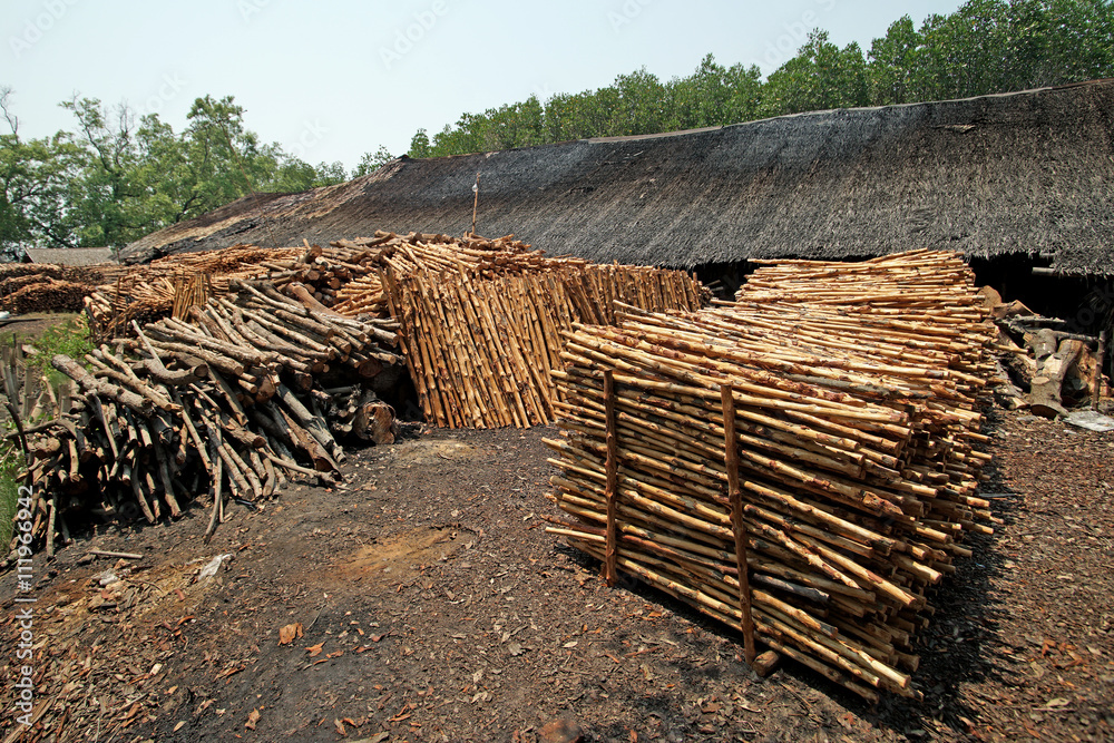 wood for making charcoal