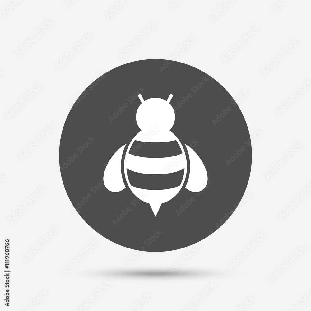 Bee sign icon. Honeybee or apis symbol. Bee sign icon. Honeybee or apis symbol.