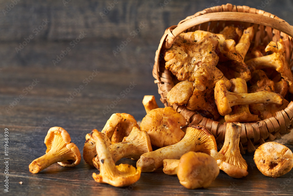 Vintage basket of chanterelles mushrooms from forest on a wooden planks background - obrazy, fototapety, plakaty 