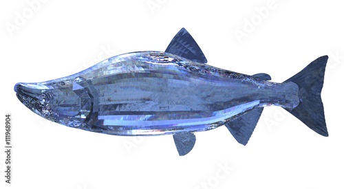 3d Illustration glass fish isolated on white background