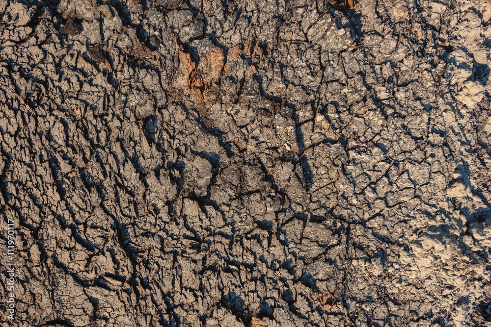 Dry soil closeup before rain Dry soil closeup before rain