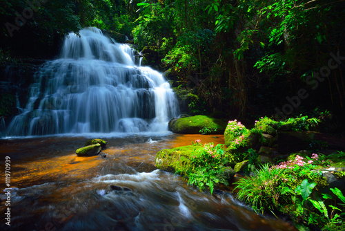  Flower waterfall