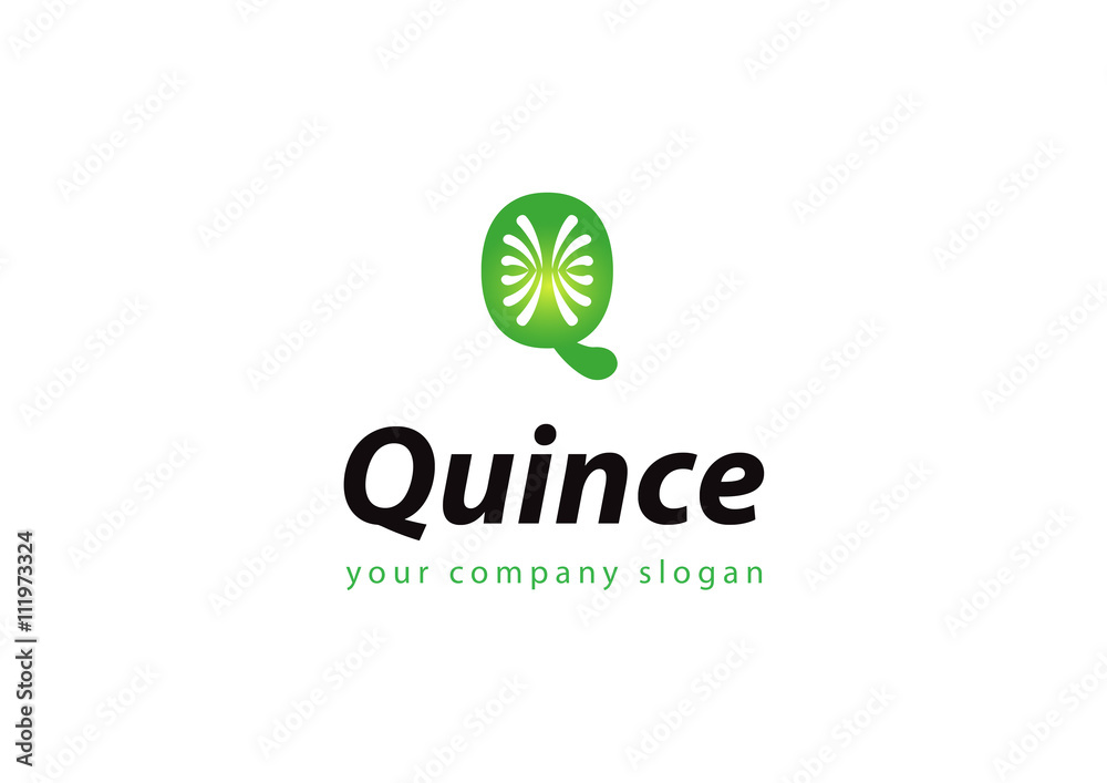 letter Q logo Template for your company