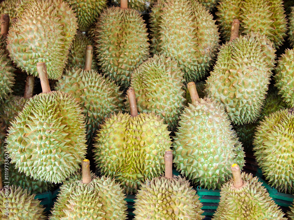 durian on shelf durian on shelf