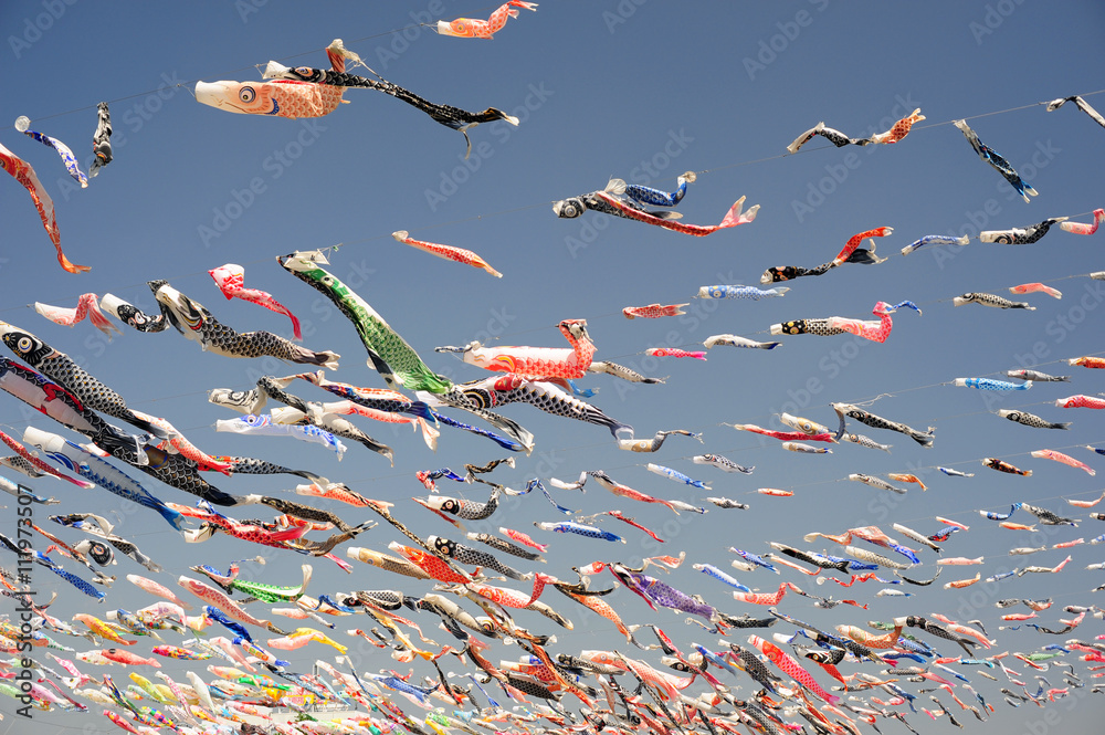 Koinobori-Carp streamer-9 Koinobori-Carp streamer-9