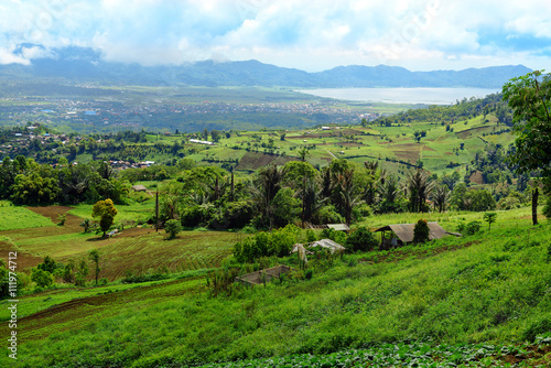 Fotografie View of farm terrace and Tomohon town