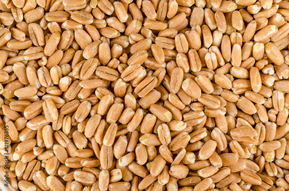 Spelt Spelt