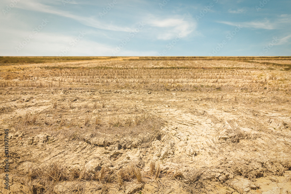 Fototapeta premium Dry soil with sky background