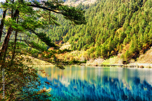 Beautiful view of lake among mountains with evergreen woods
