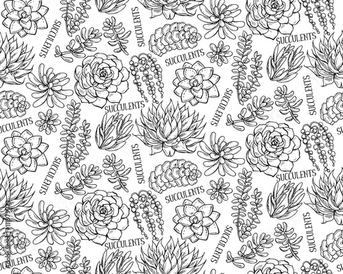 Vector seamless pattern with hand drawn succulent plants