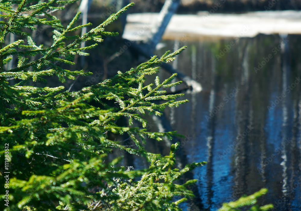 Naklejka premium Spring flooding on the river
