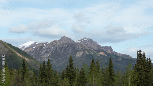 Alaska's Mountains and Forests