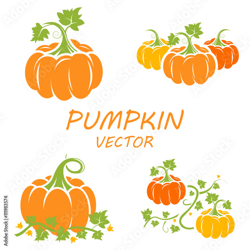 Vector flat pumpkin icons set