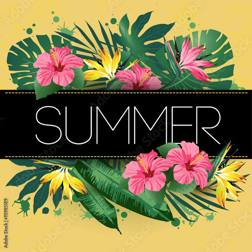 Summer. Vector illustration of flowers, leaves.