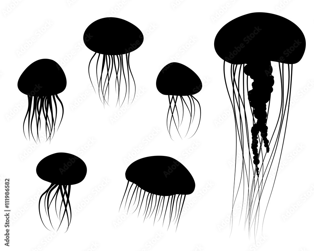 Fototapeta premium Set of Jellyfish Icons in silhouette style, vector
