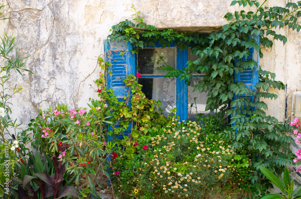 Blue window in natural flower frame Blue window in natural flower frame