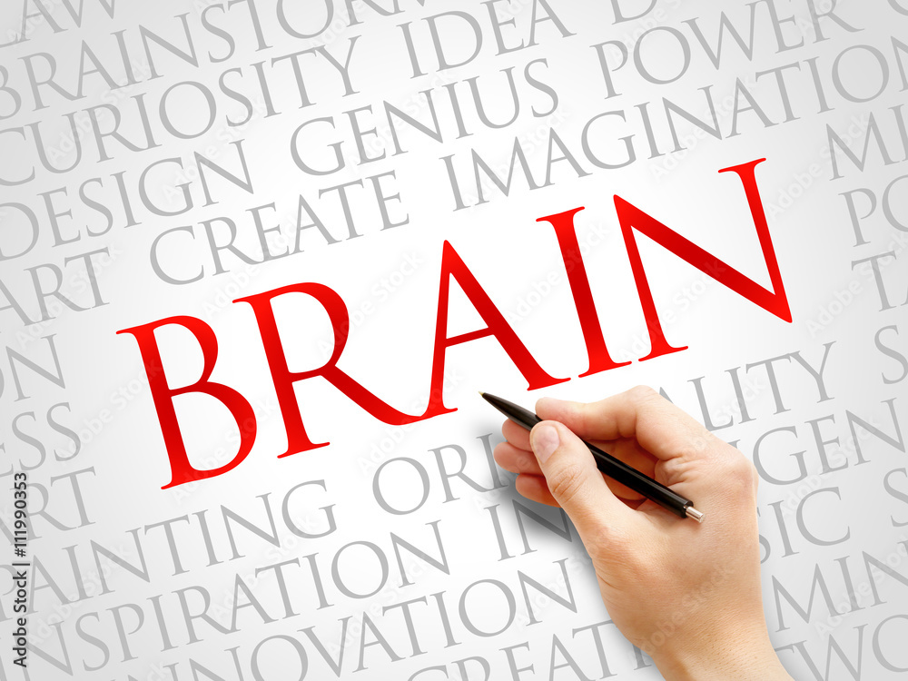 Brain word cloud, business concept Brain word cloud, business concept