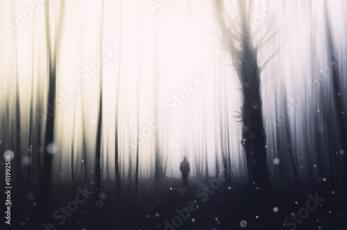 abstract fantasy forest background