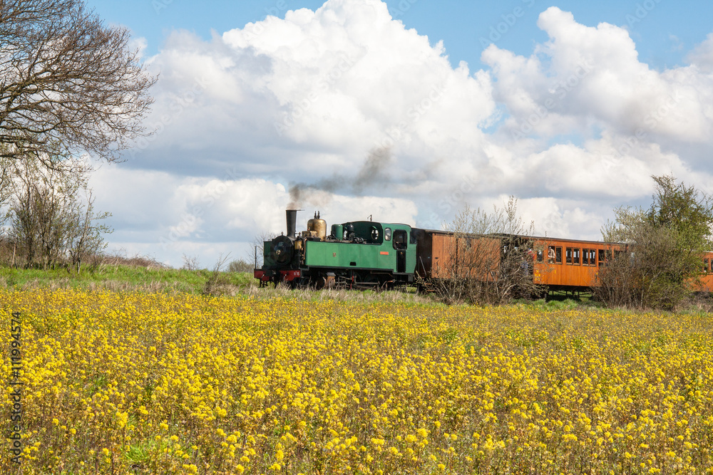 Locomotive à vapeur en campagne derrière un champ de colza, monument historique, Baie de Somme, Picardie, France