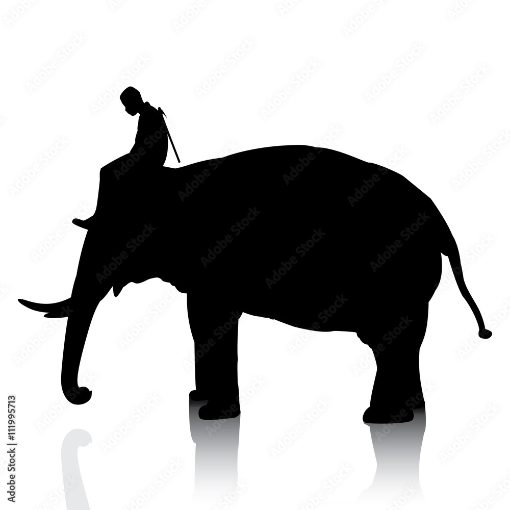 Naklejka premium Vector silhouettes of elephant and mahout young boy on white background
