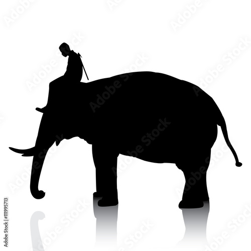 Vector silhouettes of elephant and mahout young boy on white background