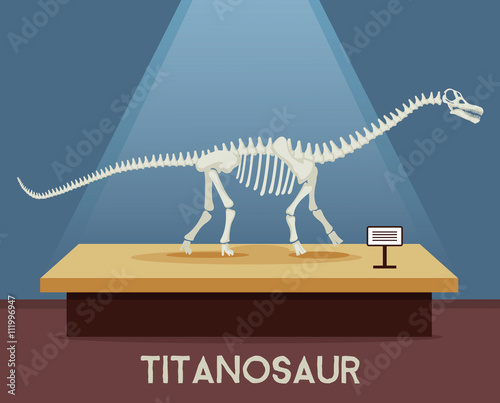 Titanosaur bones skeleton in museum exhibition. Vector flat cartoon illustration photo