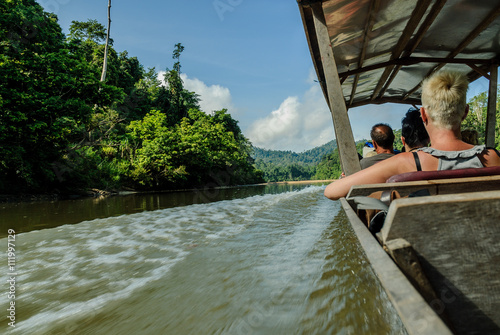 scenery of the forest from the river Sungai tembeling inside the forest of Taman Negara in Malaysia