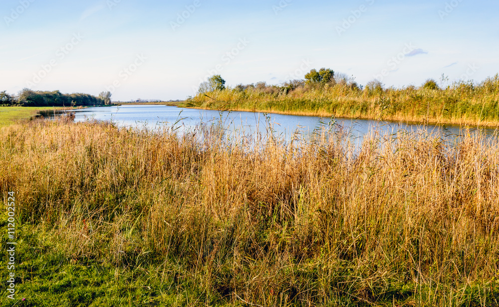 Banks of a river on a windless winter day