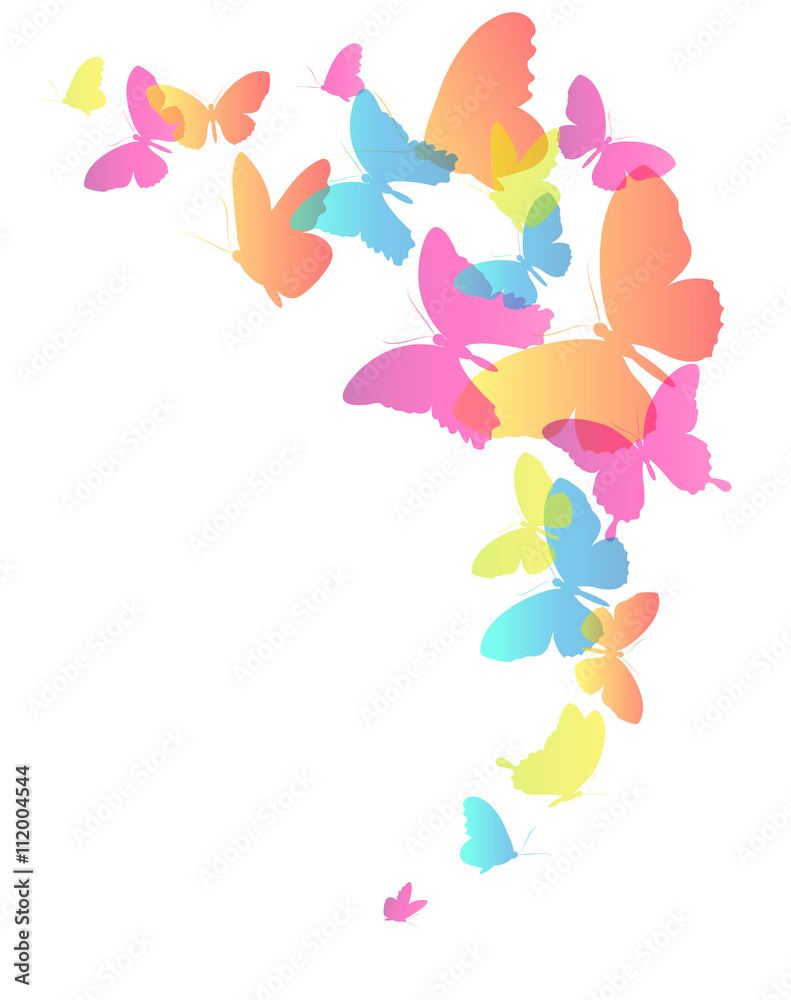 butterflies design butterflies design