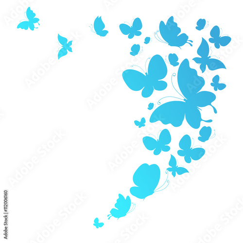 butterflies design