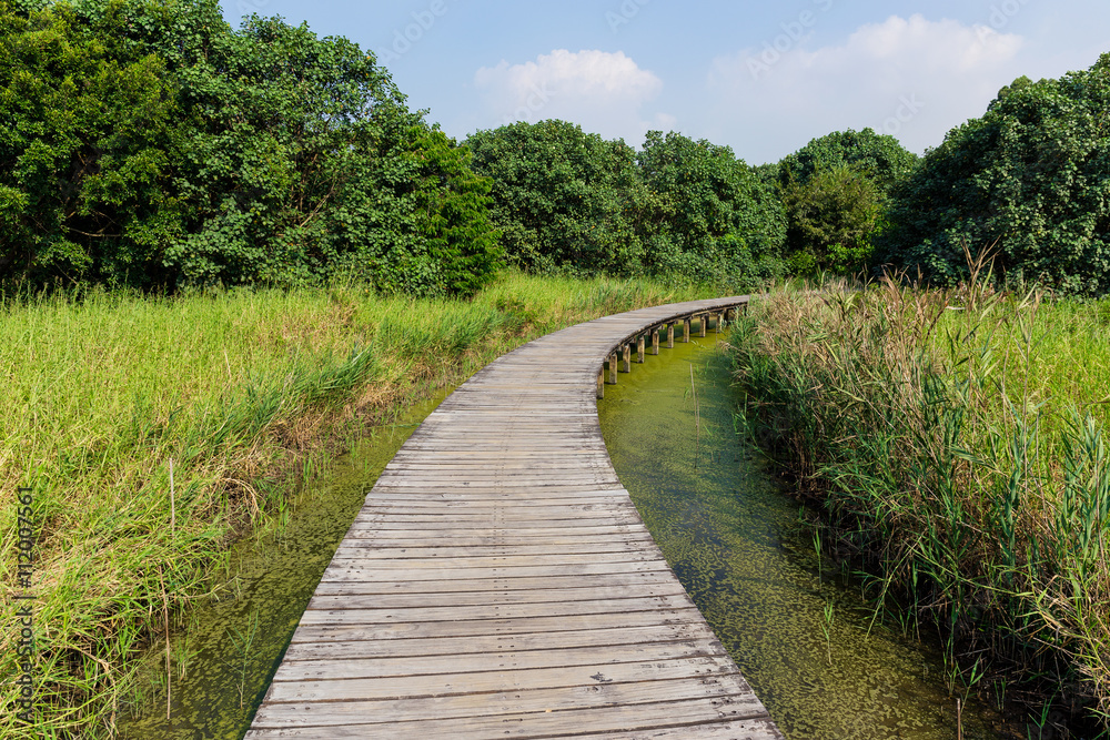 Hong Kong Wetland Park wooden walk way