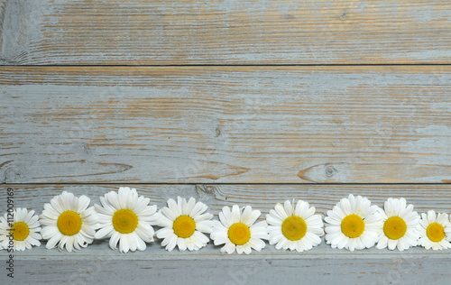 Fototapeta Naklejka Na Ścianę i Meble -  Empty copy space Background of blue painted wood with framework border line of field flowers, daisies