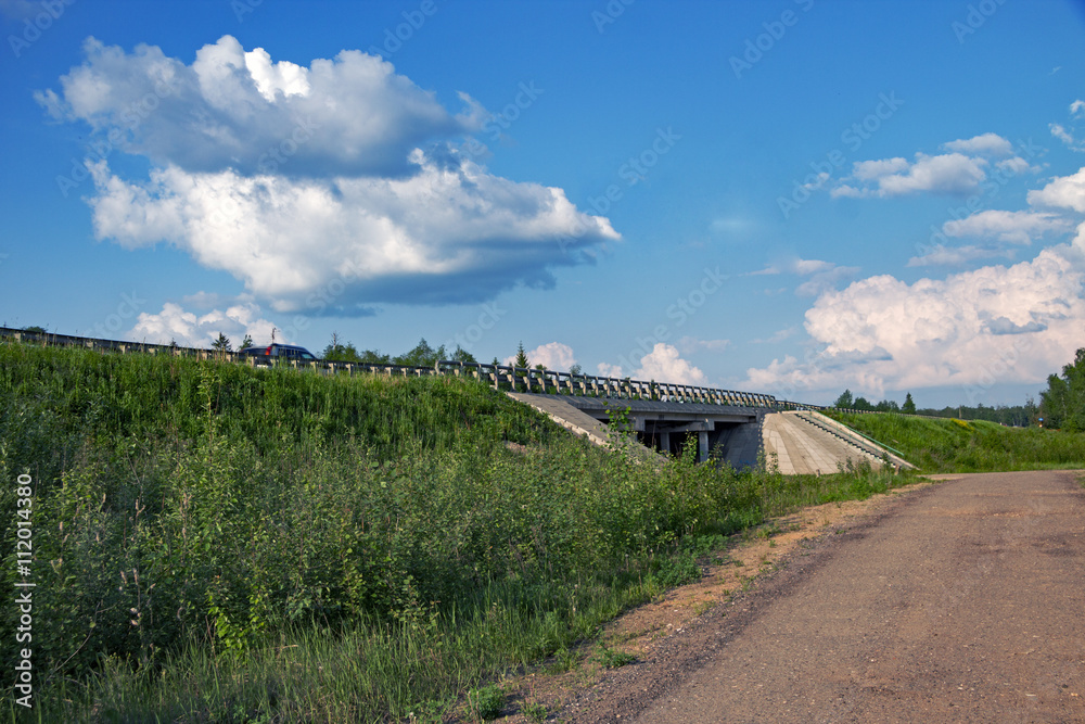 Viaduct on the highway in the countryside. The road under the bridge. The highway outside the city in the summer. Travel, Vacation. The trip by car in the city. driving, riding. country road 